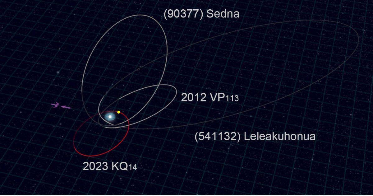 The orbit of Ammonite (red line) and the orbits of the other three sednoids (white lines). Ammonite was discovered close to its perihelion, at a distance of 71 astronomical units (Cover Image Source: NAOJ)
