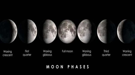 Moon Phase Calculator