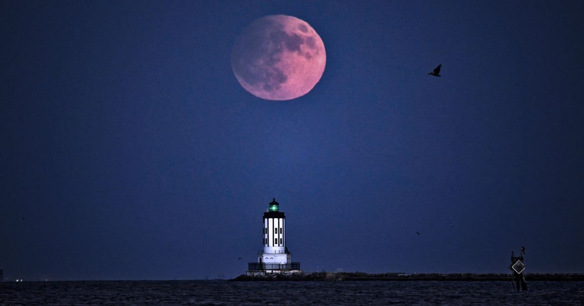 A Super Moon rises over Point Fermin Light at Point Fermin on September 17, 2024, in San Pedro, California. (Cover Image Source: Getty | 	Nick Ut )