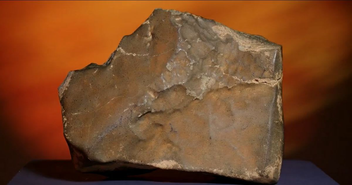 A Martian meteorite, weighing 54.388 lbs. (24.67 kg), said to be the largest piece of Mars on Earth, estimated at $2 - 4 million, is displayed at Sotheby's in New York (Cover Image Source: X | Sotheby's)