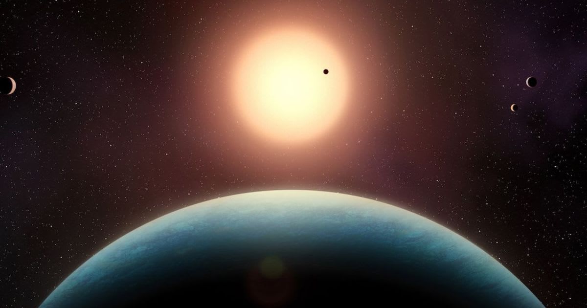 Illustration of the planetary system of L 98-59. Five small exoplanets orbit closely around this red dwarf star, located 35 light-years away (Representative Cover Image Source: Université de Montréal | Benoit Gougeon)