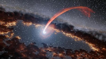 Webb Telescope illuminates hidden black holes feasting on stars in dusty cosmic corners