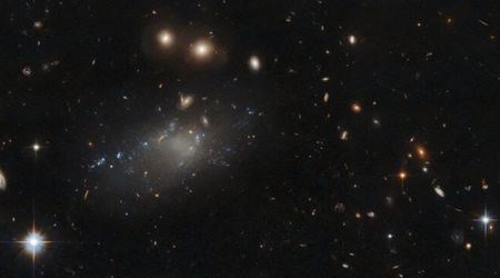 Hubble Telescope reveals ultra-diffuse galaxy F8D1 shut down star formation nearly two billion years ago