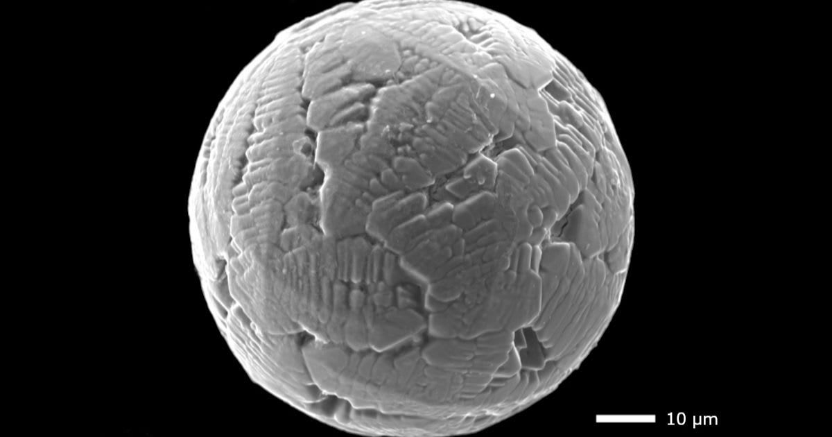 Electron microscope image of a 240-million-year-old micrometeorite (Cover Image Source: University of Göttingen | Fabian Zahnow)