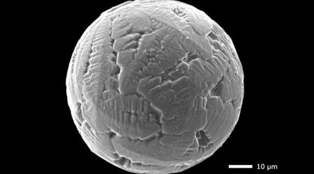 Micrometeorites provide new method for reconstructing Earth's past climate, says new study