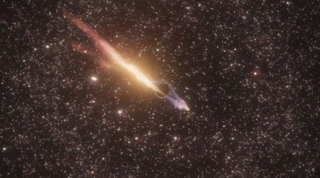 Watch one of the universe's elusive black holes gravitationally tearing apart a star in a burst of radiation