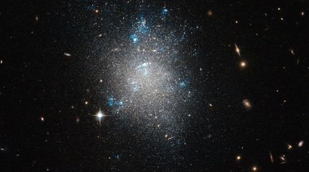 Ursa Major III may be a dense star cluster hiding a black hole core, claim astrophysicists
