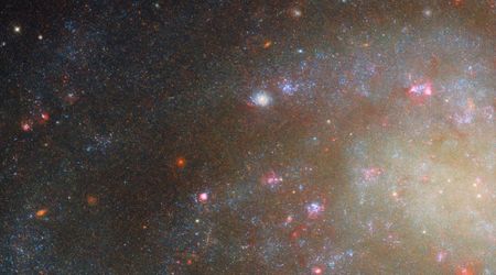 Hubble Space Telescope's latest image reveals the secrets of low surface brightness galaxy NGC 45