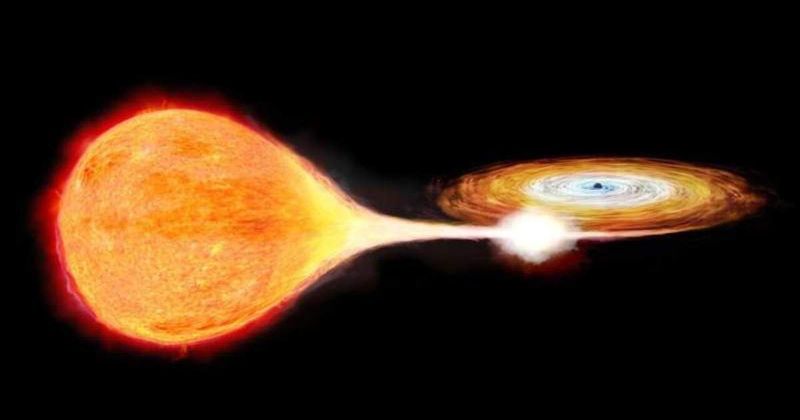 Rare XRISM findings reveal what a black hole looks like in its quietest X-ray phase