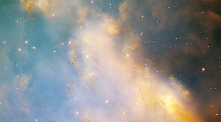 Catch a glimpse of the Dumbbell Nebula—the first planetary nebula ever discovered—in August's night sky