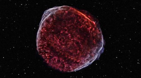 Breakthrough discovery reveals the origin of hypervelocity white dwarfs racing through space at over 2000 km/s