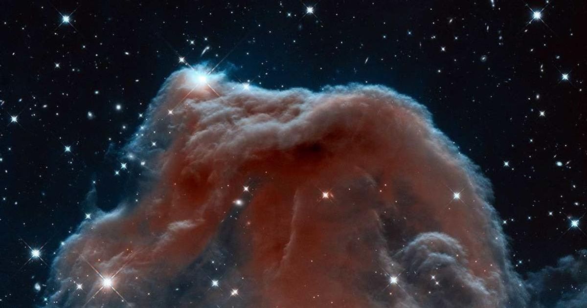 Astronomers used NASA's Hubble Space Telescope to photograph the iconic Horsehead Nebula in infrared light to mark the 23rd anniversary of the observatory's launch. (Cover Image Source: NASA/ESA/Hubble Heritage Team)