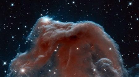 Millions of light years old 'warm' interstellar dust found in Makani galaxy's hot halo
