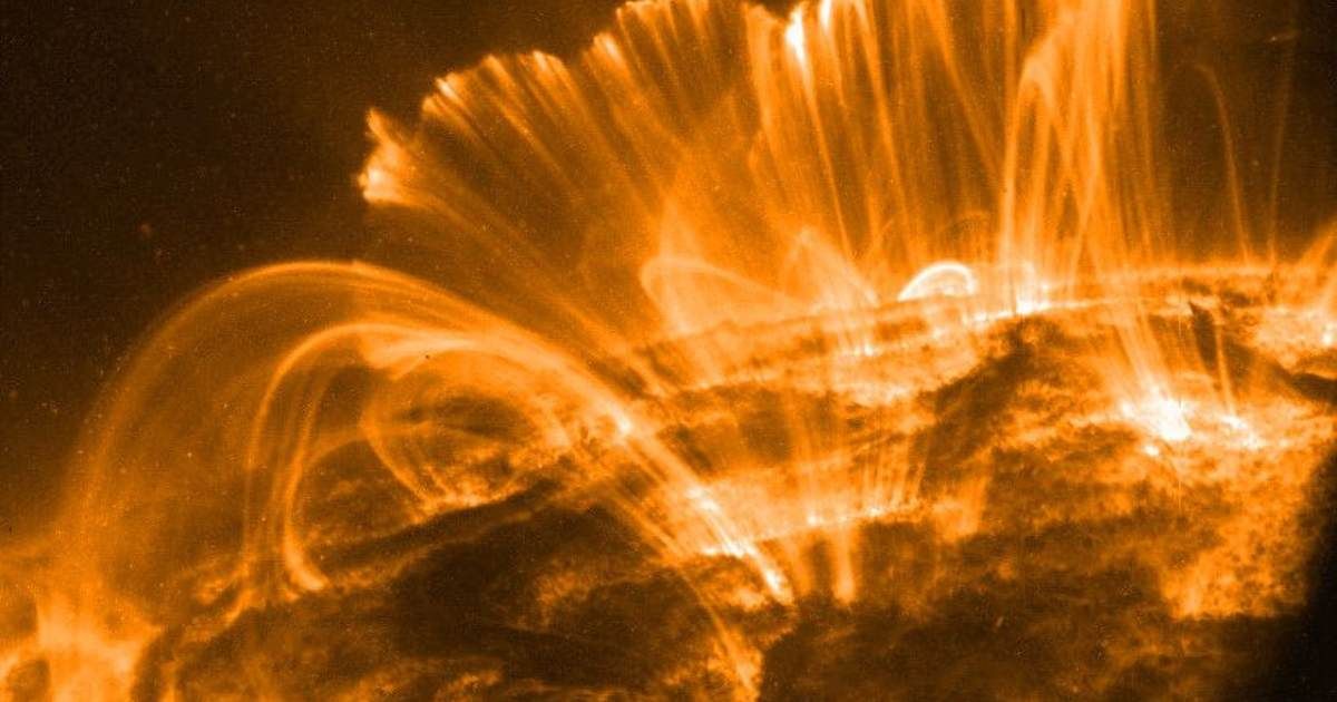 In this picture, the Sun's surface is quite dark. A frame from a movie recorded on November 9th by the orbiting TRACE telescope, it shows coronal loops lofted over a solar active region (Cover Image Source: NASA/GSFC/TRACE)