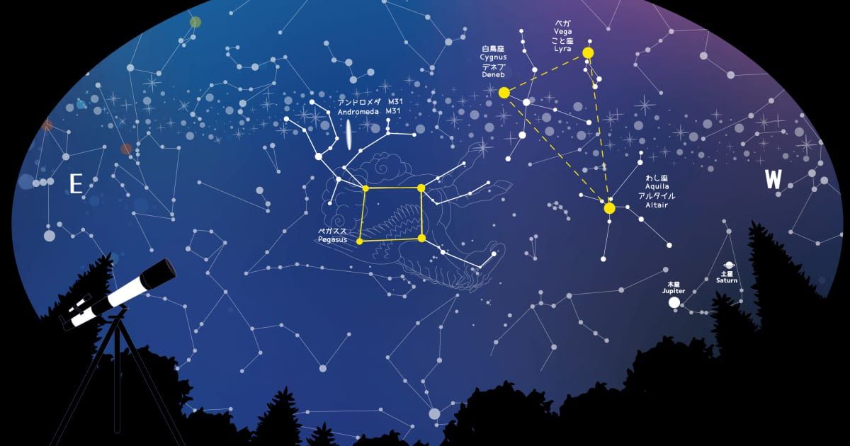 Autumn constellations and autumn quadrilaterals seen from the forest. (Representative Cover Image Source: Getty Images | Photo by fumimicreative)