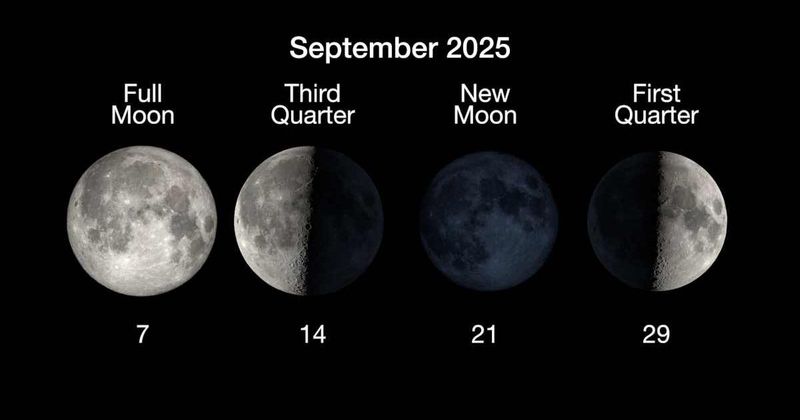 Moon phases 2025: When is the next new moon