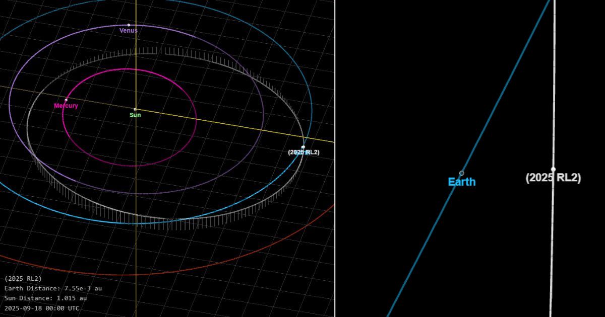 Asteroid RL2 close approach on September 19, 2025. A magnified shot of the orbit on the right. (Cover Image Source: NASA JPL)