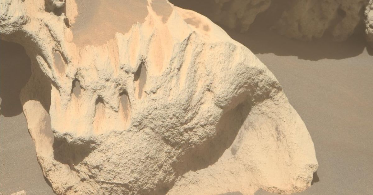 NASA's Mars Perseverance rover acquired this image using its Right Mastcam-Z camera. Mastcam-Z is a pair of cameras located high on the rover's mast (Cover Image Source: NASA/JPL-Caltech)