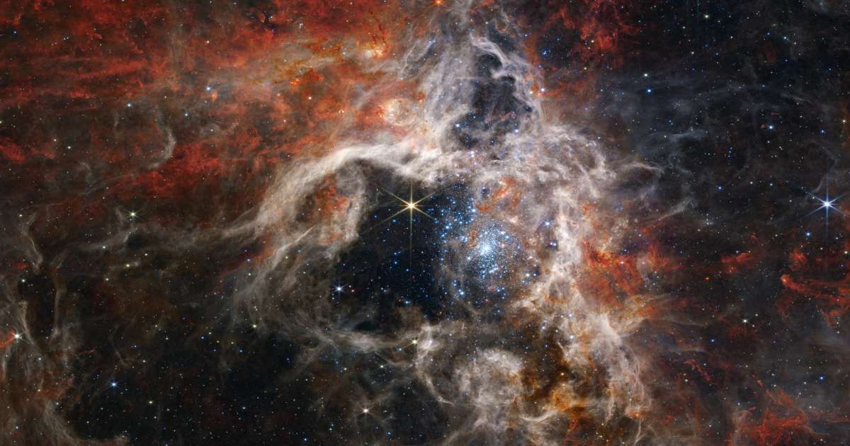 In this mosaic image stretching 340 light-years across, NASA's James Webb Space Telescope’s Near-Infrared Camera (NIRCam) displays the Tarantula Nebula star-forming region in a new light (Cover Image Source: NASA/ESA)