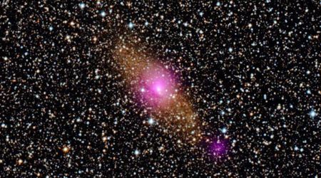 Twin spiral 'arms' caught feeding a black hole in the Circinus galaxy