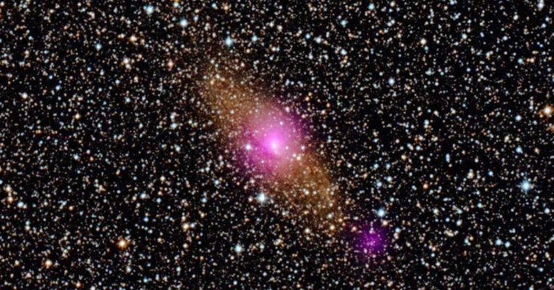 Twin spiral 'arms' caught feeding a black hole in the Circinus galaxy