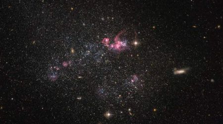 Nearby dwarf galaxy held together by supermassive black hole 450,000 times the Sun's mass, study finds