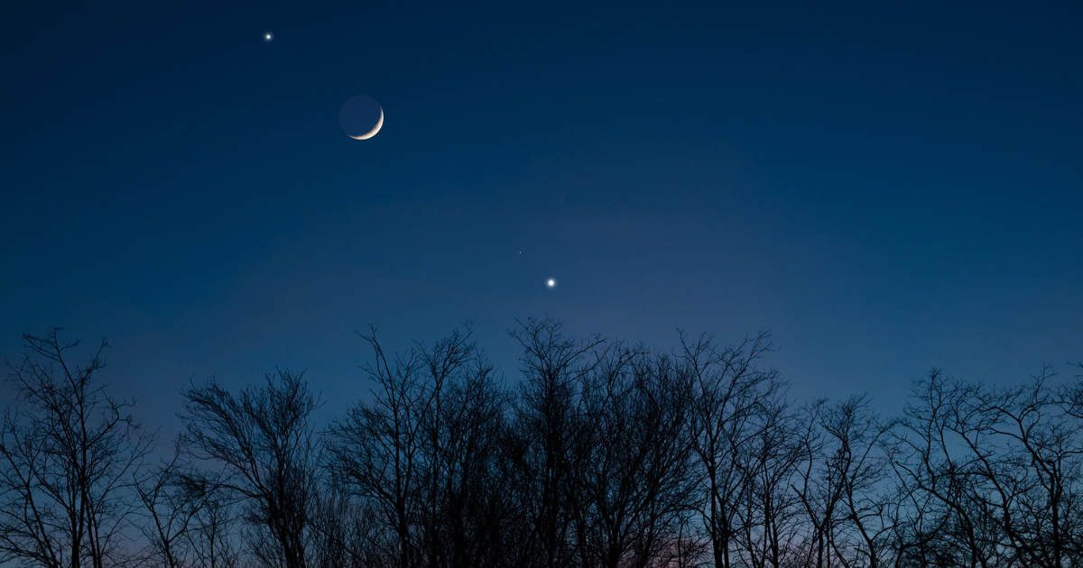 Planets in conjunction with young Moon above tree countryside silhouettes (Representative Cover Image Source: Getty | m-gucci)