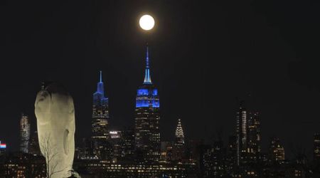 November's Beaver moon to be largest, brightest supermoon of 2025—here's when to see it