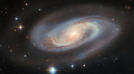 Hubble Space Telescope unveils striking portrait of a spiral galaxy harboring an active nucleus