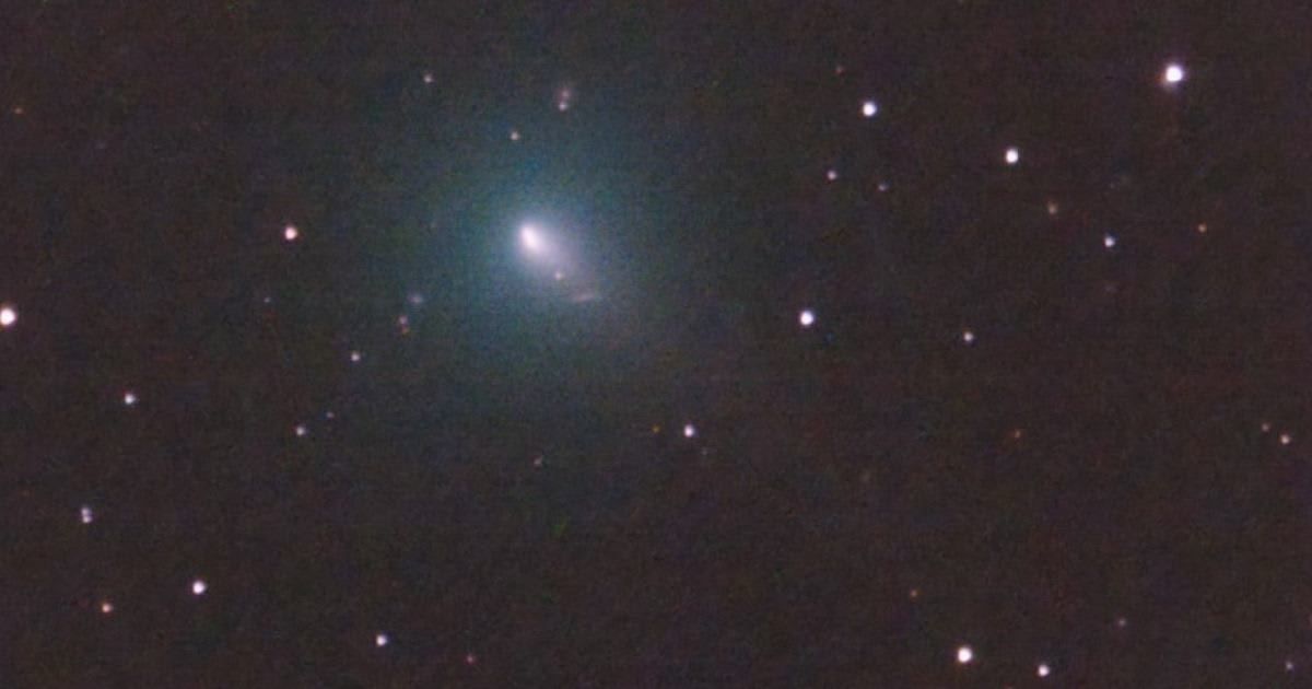 C/2019 Y4 (ATLAS) on March 20, 2020. Imaged from Montezuma, GA, USA. (Representative Cover Image: Morrisayoder via Wikimedia Commons, licensed under CC BY‑SA 4.0)