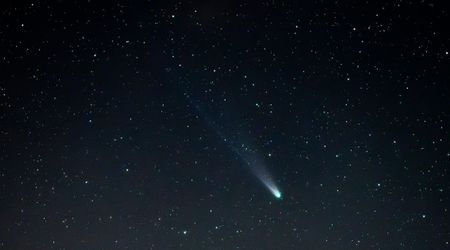 Comet C/2025 A6 (Lemmon) is approaching the Sun—when and how you can spot it this week