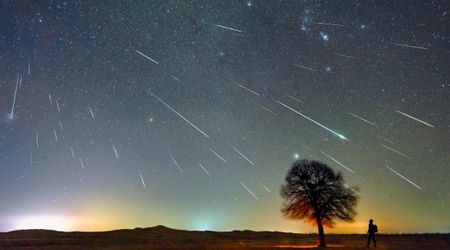 The special Northern Taurids meteor shower peaks tonight—how and when to watch it