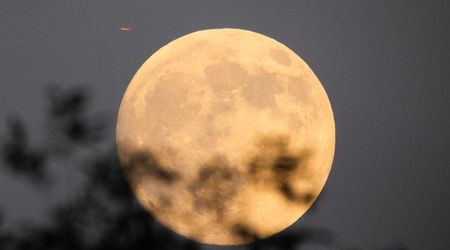 Oxidized iron on the Moon—China's Chang'e-6 mission reveals new surprising details