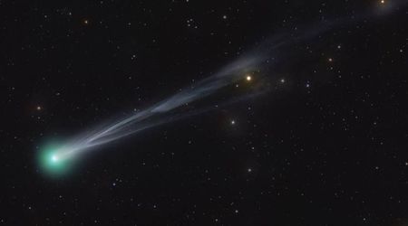 Comet C/2025 A6 (Lemmon) still shines in the night sky—here's how to spot it during the New Moon