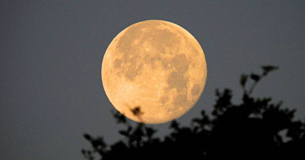 "Flower Moon" with a silhouette of trees on May 6, 2020, the last Supermoon in 2020. (Representative Cover Image Source: Getty Images | Photo by Sandi Smolker)