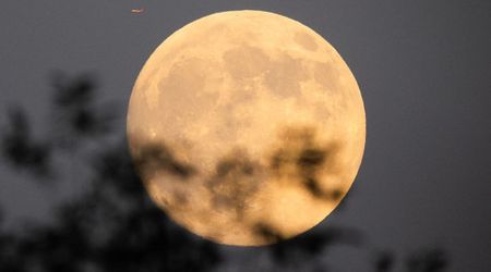 Extraordinary Moon features to spot during the Cold Moon 2025—with or without binoculars