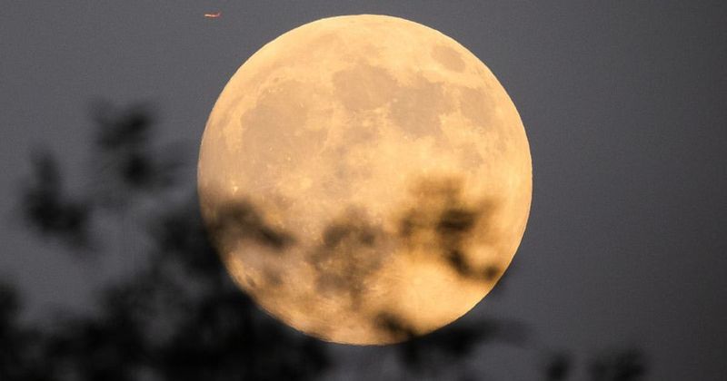 Extraordinary Moon features to spot during the Cold Moon 2025—with or without binoculars