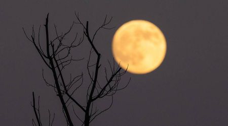 5 stunning lunar events to watch after the Cold Supermoon in December 2025