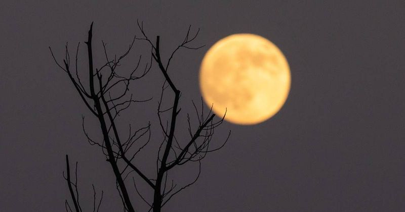 5 stunning lunar events to watch after the Cold Supermoon in December 2025