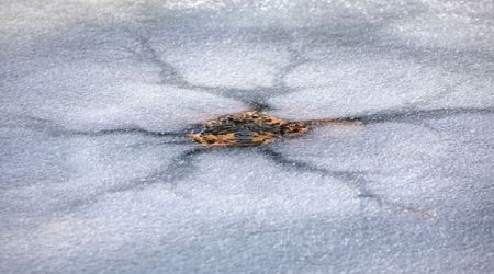 Bizarre spider-like feature spotted on Jupiter's Moon Europa may be similar to those on Earth