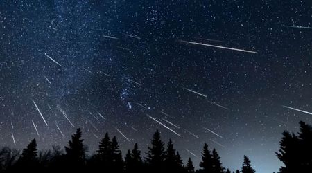 2025 Ursid meteor shower peaks next week: Here's when and where you can see it