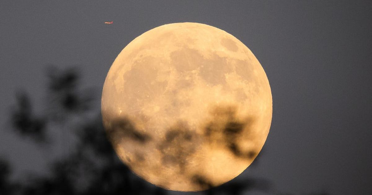 An airplane flies near the full moon as tree branches are seen in the foreground during the Mid-Autumn Festival on October 6, 2025, in Qianjiang, Hubei Province, China (Representative Cover Image Source: Getty | Cheng Xin)