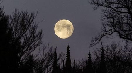 Moon phases 2026: When is the next Full Moon?