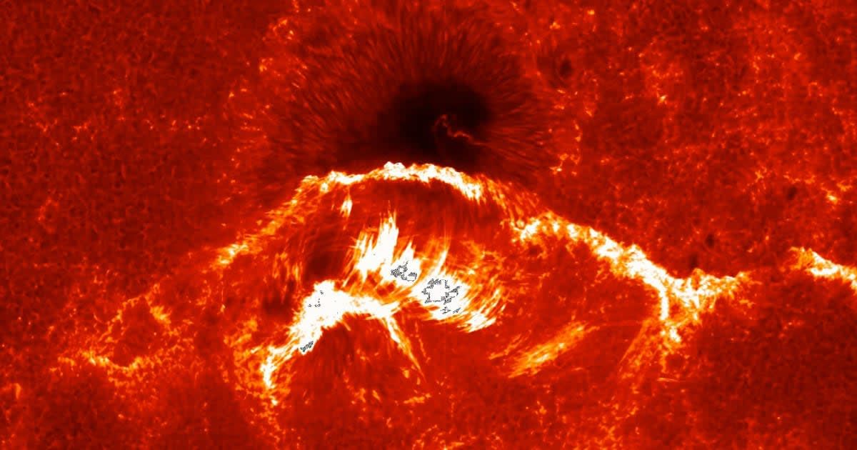 Hinode's Solar Optical Telescope (SOT) picture of sun's surface. It shows a new developing sunspot colliding with an existing spot that erupts into a solar flare. (Representative Image Source: JAXA Hinode | NASA)
