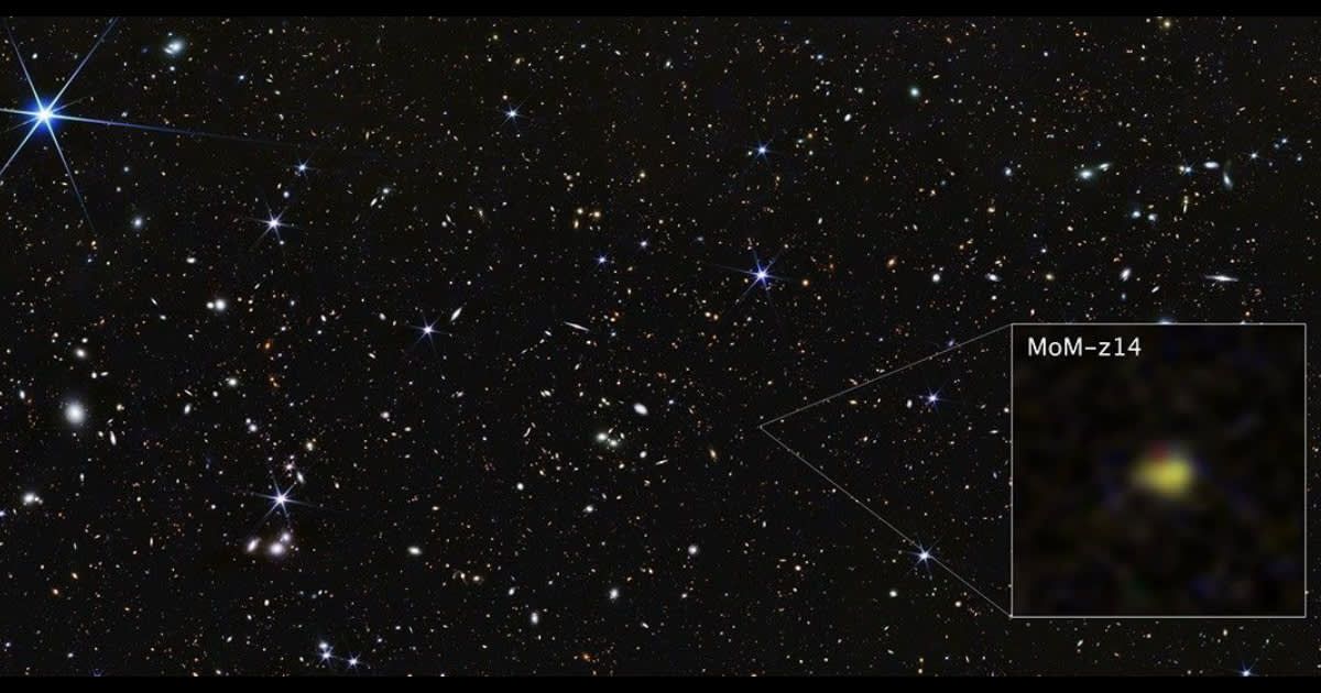 NASA’s James Webb Space Telescope shows galaxy MoM-z14 as it appeared only 280 million years after the universe began in the Big Bang.  [Cover Image Souce: NASA, ESA, CSA, STScI, Rohan Naidu (MIT); Image Processing: Joseph DePasquale (STScI)]