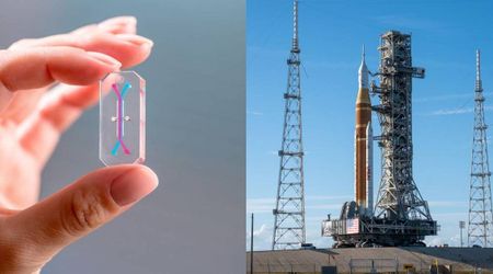 Artemis II mission will take bone marrow cells on thumb-drive-sized chips to the Moon