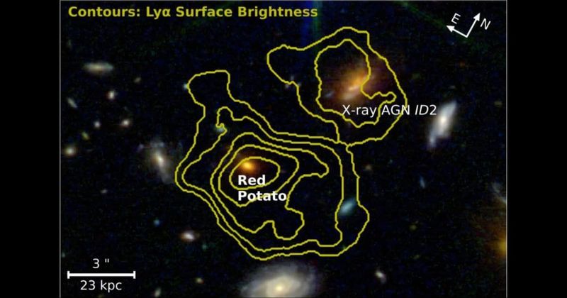 James Webb Space Telescope discovers 'Red Potato' galaxy