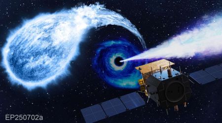 Scientists may have directly observed a black hole tearing apart a white dwarf for the first time