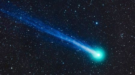 A Jupiter-family comet stuns scientists by abruptly reversing its spin after perihelion