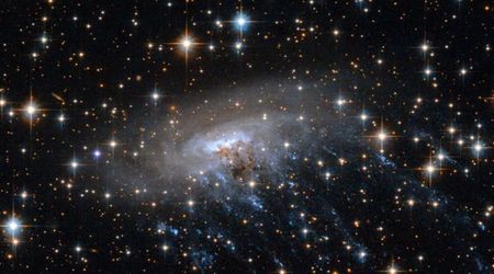 NASA's James Webb Space Telescope captures a rare jellyfish galaxy from 8.5 billion years ago